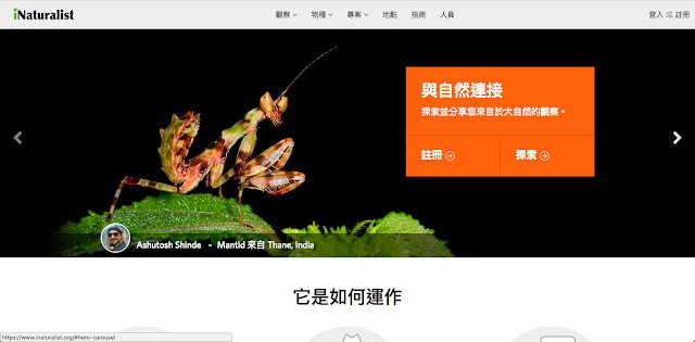 iNaturalist AI辨識數萬種鳥類昆蟲動植物照片，還有遊戲化App